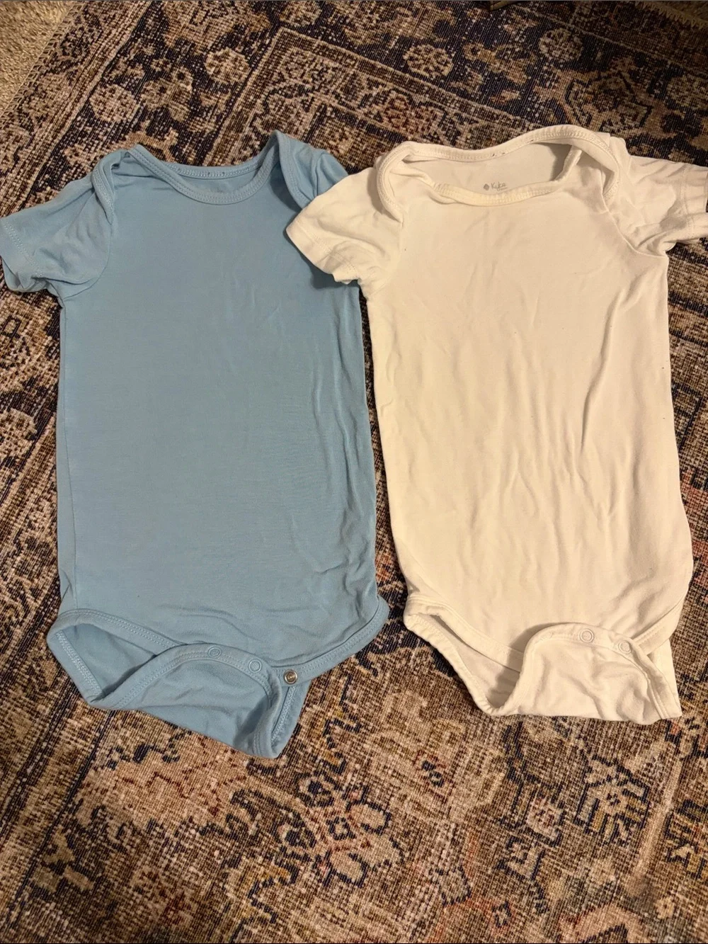 Short Sleeve Bodysuits
